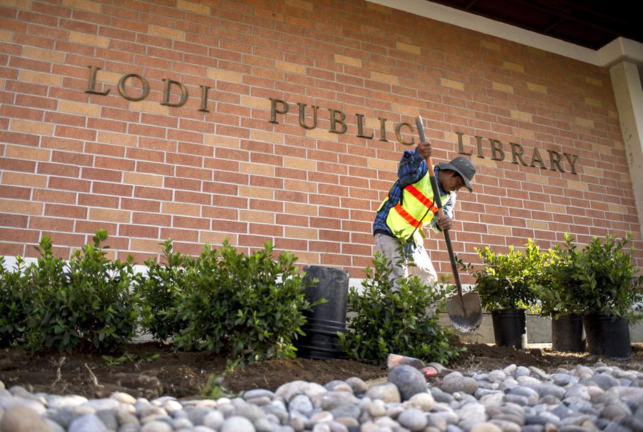 Lodi Public Library gives landscaping a makeover News