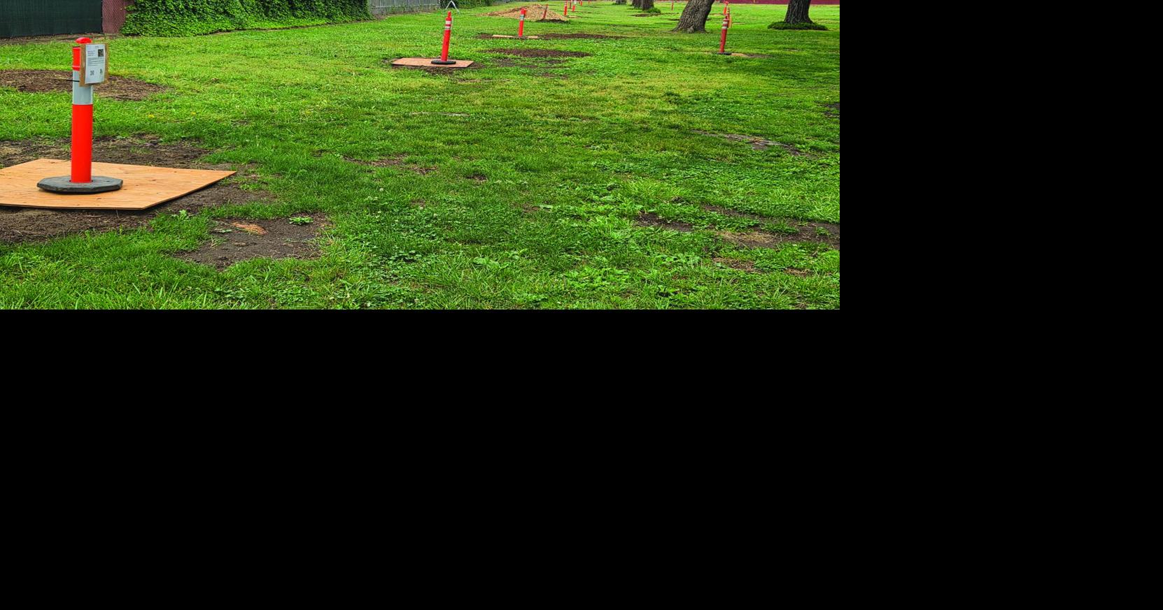 Community invited to help replant Lodi’s Legion Park for Arbor Day