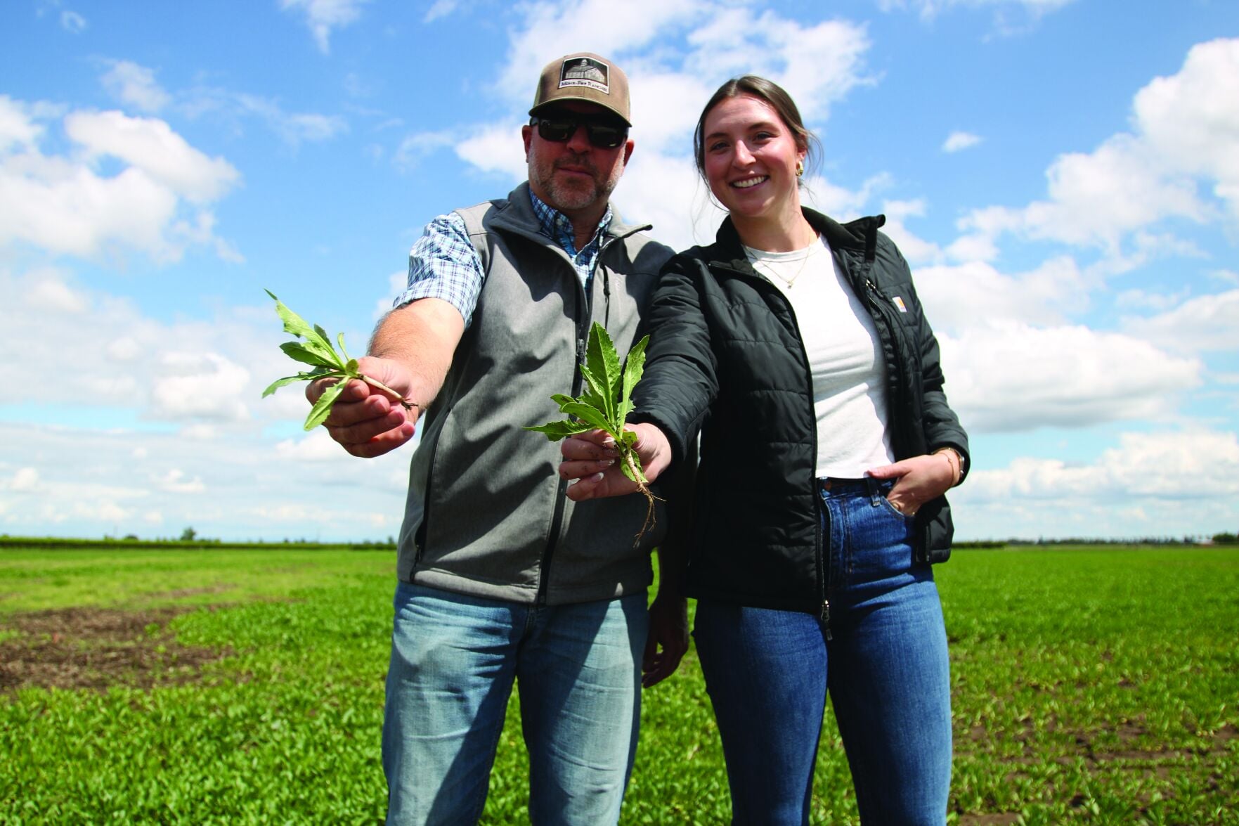 A fresh crop of ideas: Local growers pivot to survive the wine downturn