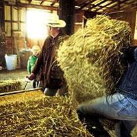 John Garamendi: Family man, local rancher and career politician | News ...