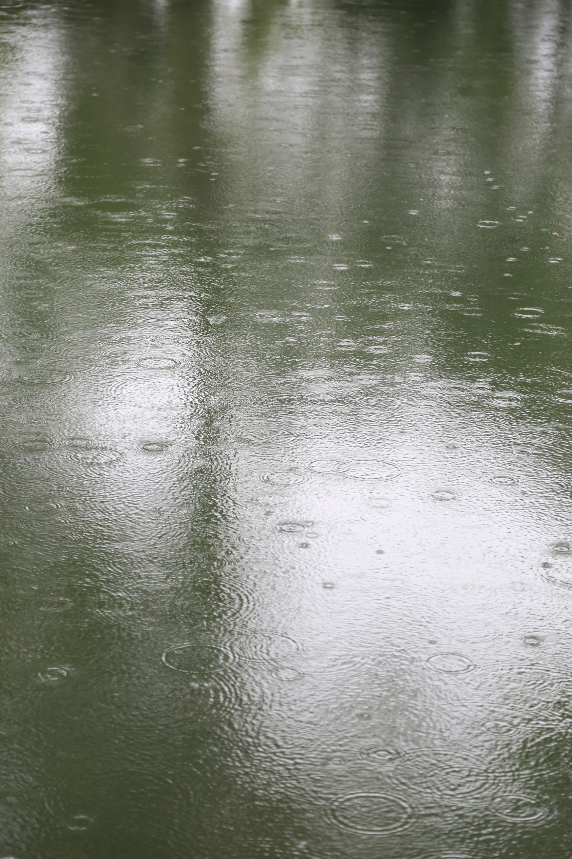 Lodi’s wet weather won’t last News