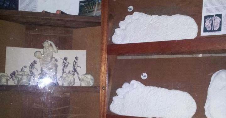 Curator Michael Rugg shares what visitors can do at the Bigfoot ...