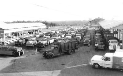 Vintage View: Busy 1955 grape crush at Liberty Winery