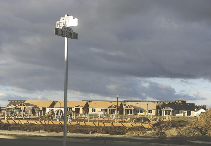 Lodi real estate agent talks about where 2020 housing market is going