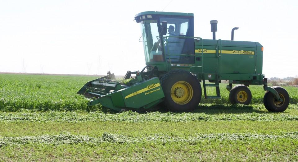 Alfalfa harvest helps feed local dairy Business
