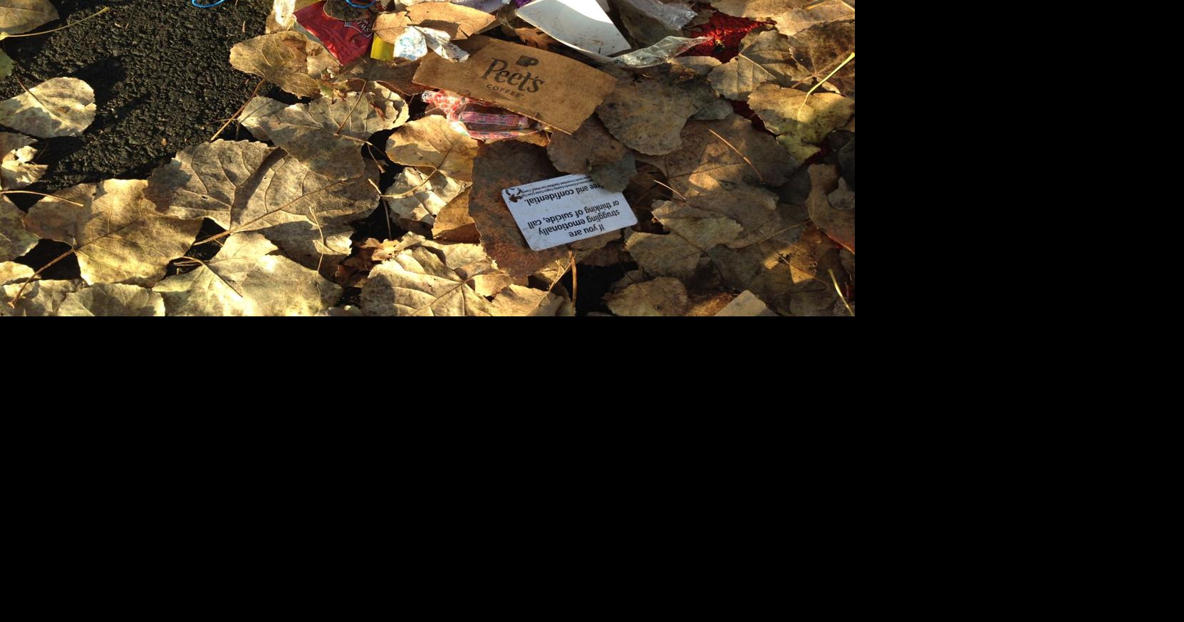 Volunteers gather trash items large and small to keep Lodi Lake clean Lodi Living