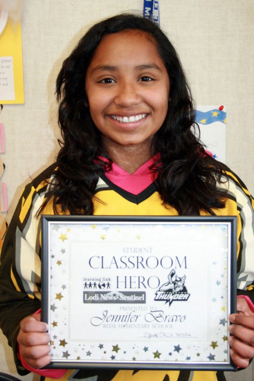 Reese Elementary School Classroom Heroes Learning Link