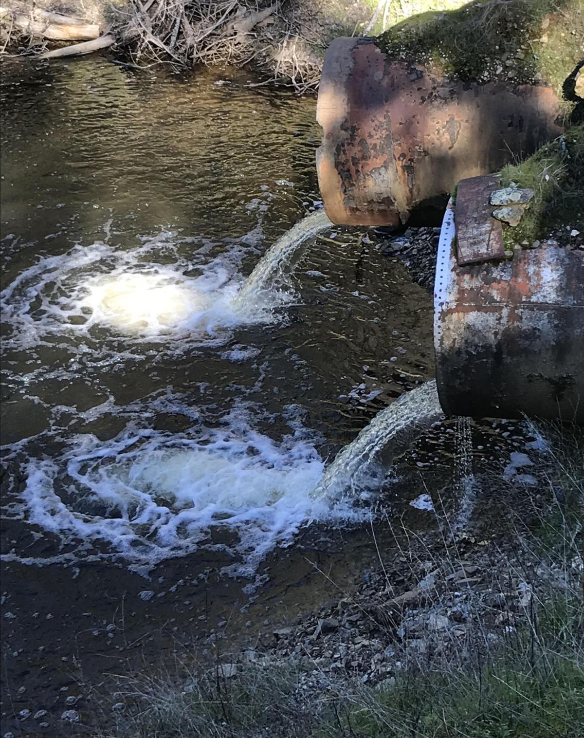 A day at Camanche Reservoir News