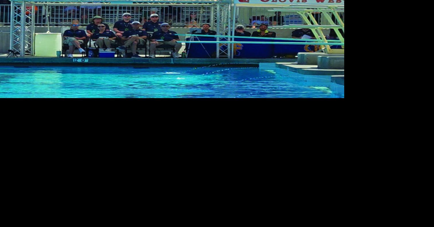 High schools: St. Mary's junior Haddad wins state diving