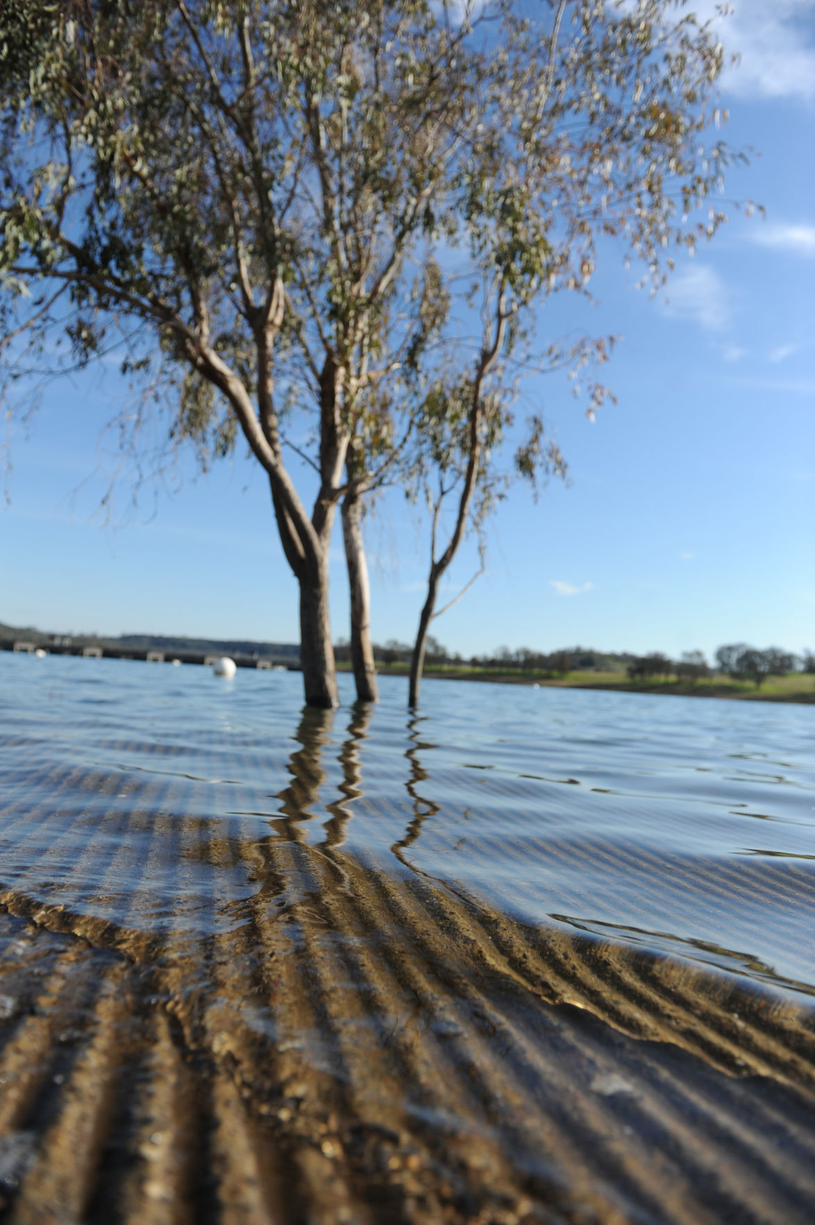 A day at Camanche Reservoir News