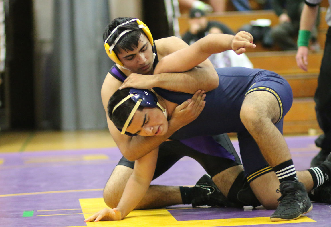 Boys Wrestling Tigers Whip Wolf Pack Sports Lodinews Boys Wrestling Tigers Whip Wolf Pack Sports Lodinews
