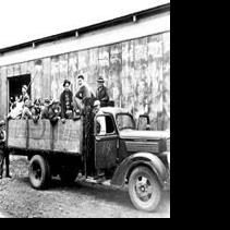 Lodi farmers held rabbit drives to clear pests from vineyards | Vintage ...