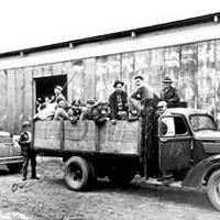 Lodi farmers held rabbit drives to clear pests from vineyards | Vintage ...
