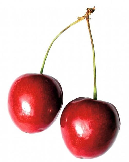 Showtime Full About Cherry Online Free Showtime Full About Cherry Online Free