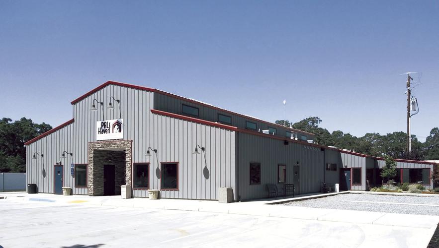 pals-haven-to-open-13-000-square-foot-shelter-next-week-news