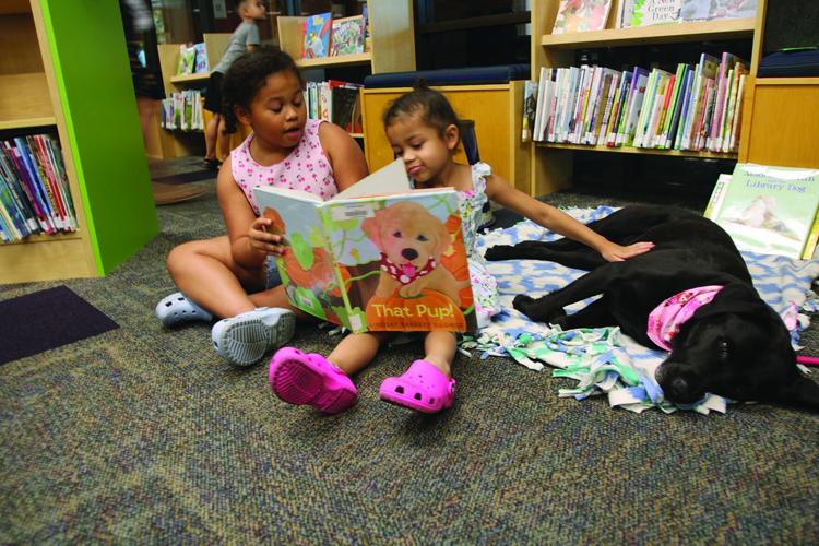 Paws, pages and progress: Therapy dogs give young readers a judgment-free audience at Lodi Library