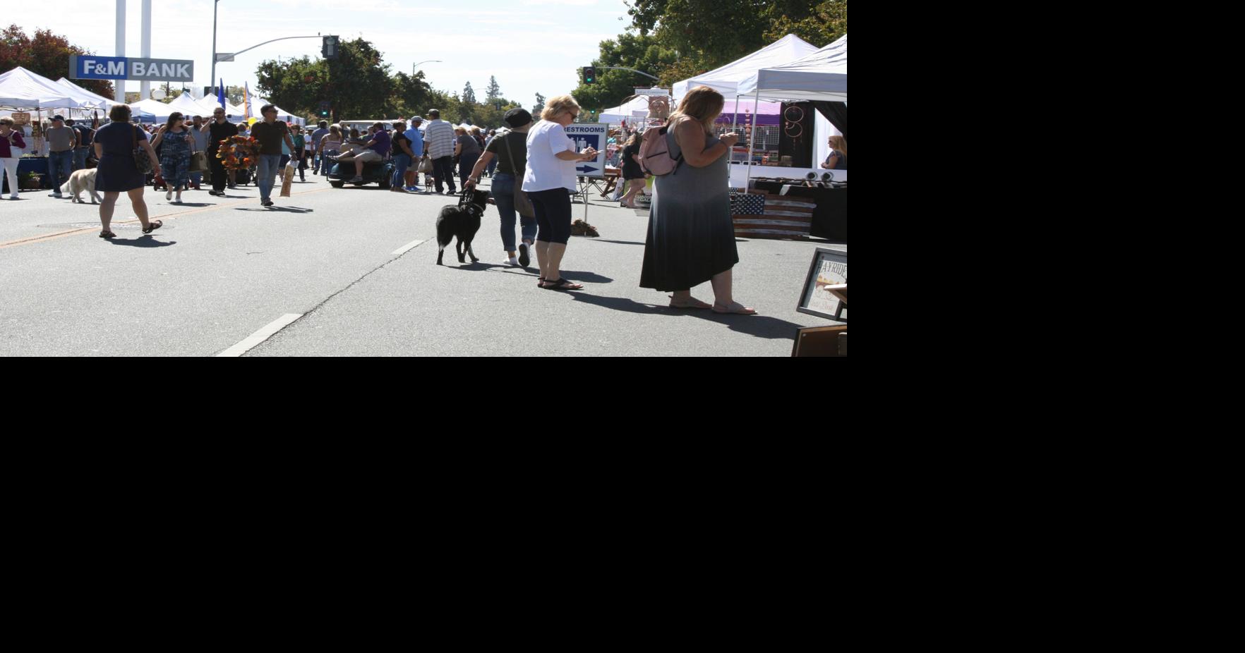 Lodi Street Faire News
