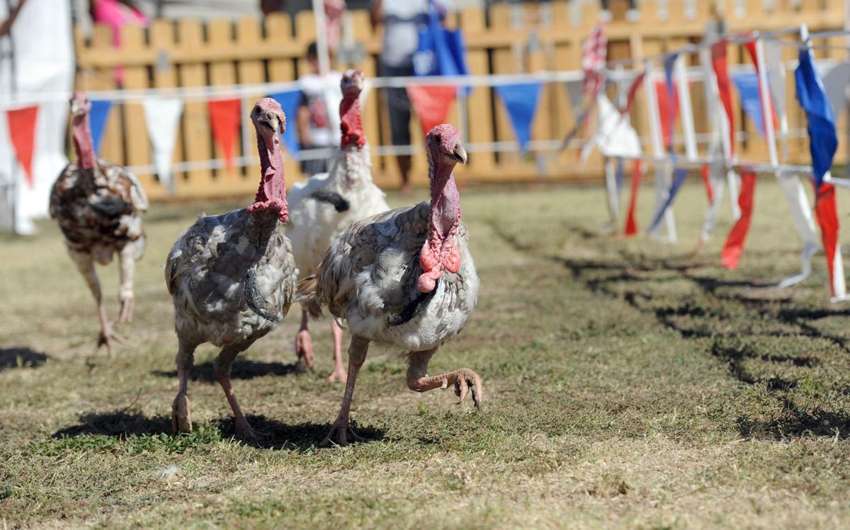 Lodi youngsters wrangle feathered fiends for highspeed fun at Grape