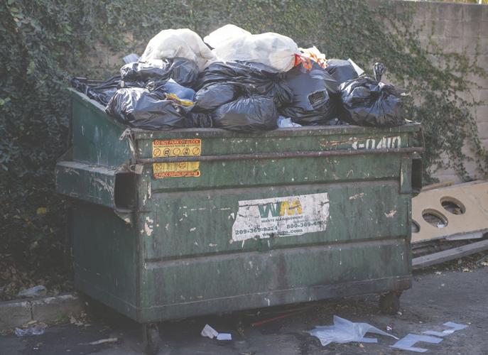 Infractions overflow for violators of Lodi garbage rules News
