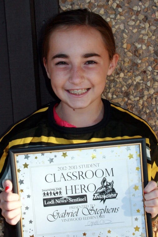 Vinewood Elementary School classroom heroes Learning Link