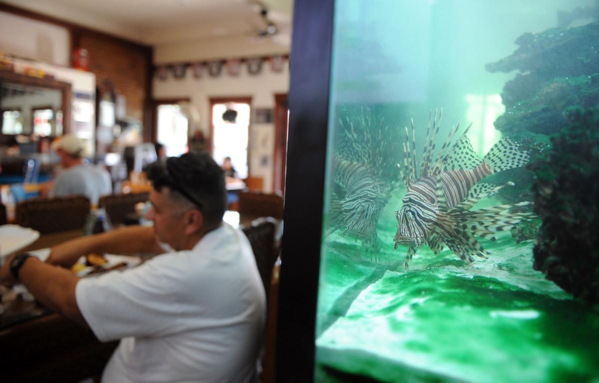 Daddy’s Ribs celebrates one year at new Lockeford location Business