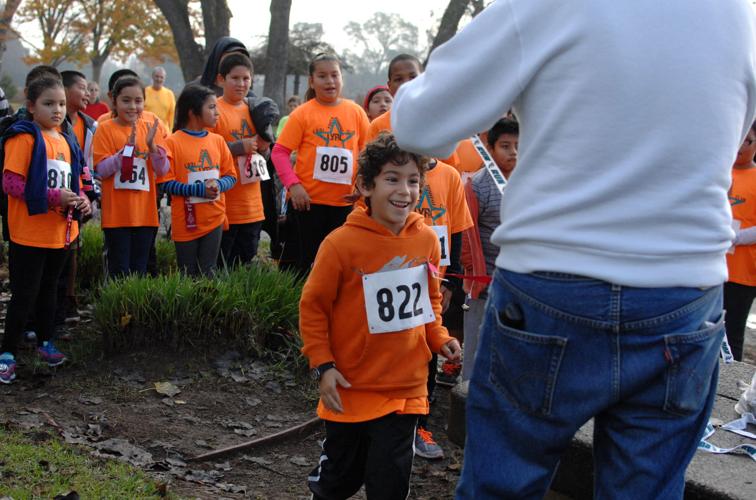 Lodi Christmas Tree Run News