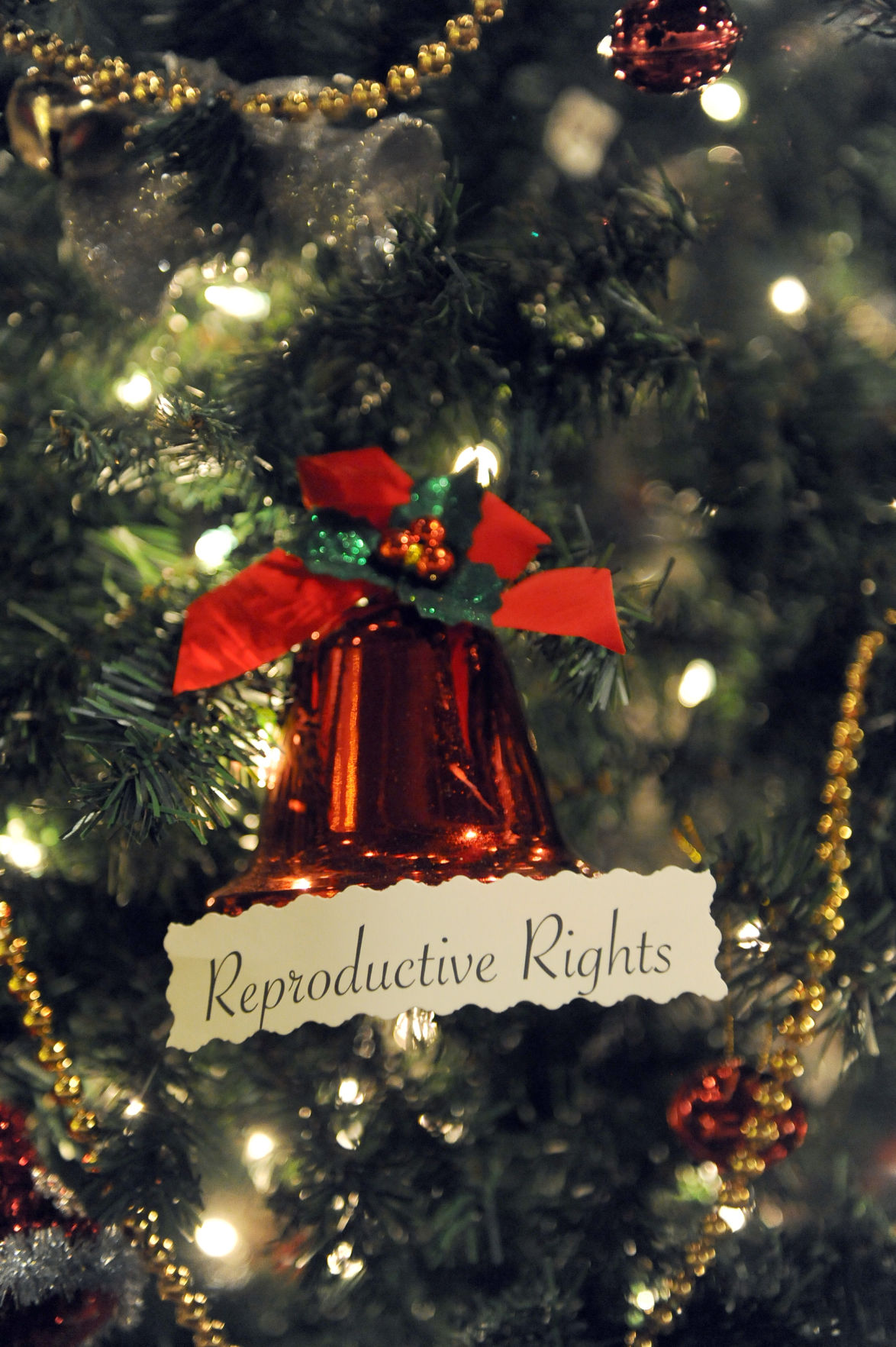 Festival of Trees brings Christmas cheer to Micke Grove Lodi Living