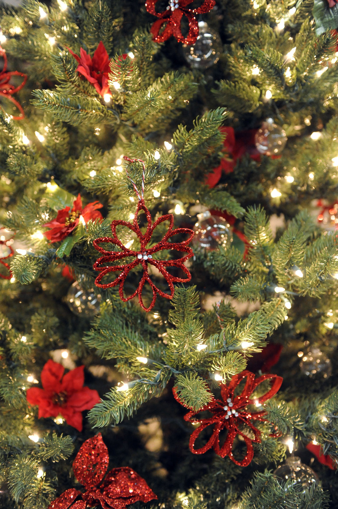 Festival of Trees brings Christmas cheer to Micke Grove Lodi Living