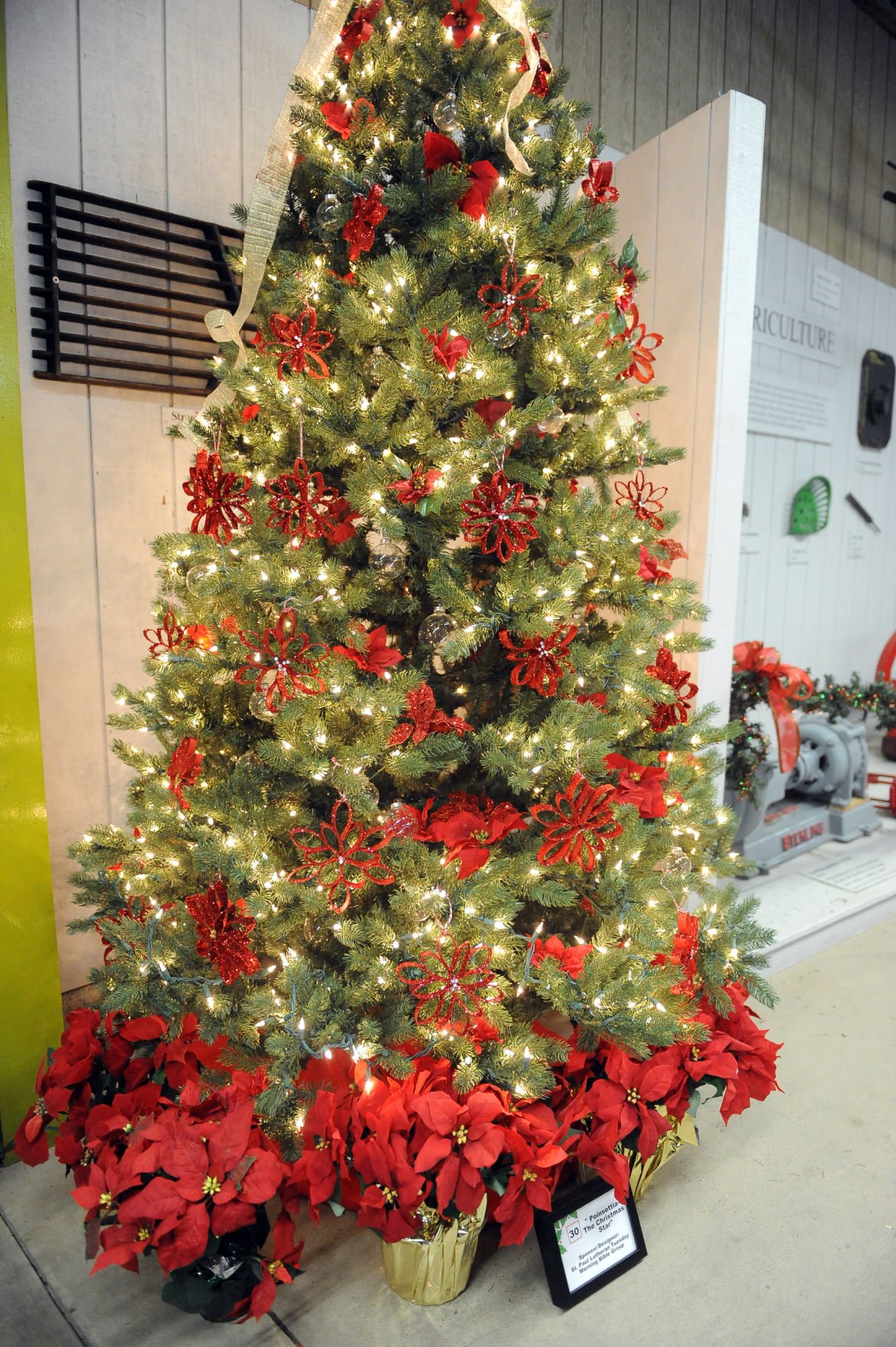Festival of Trees brings Christmas cheer to Micke Grove Lodi Living