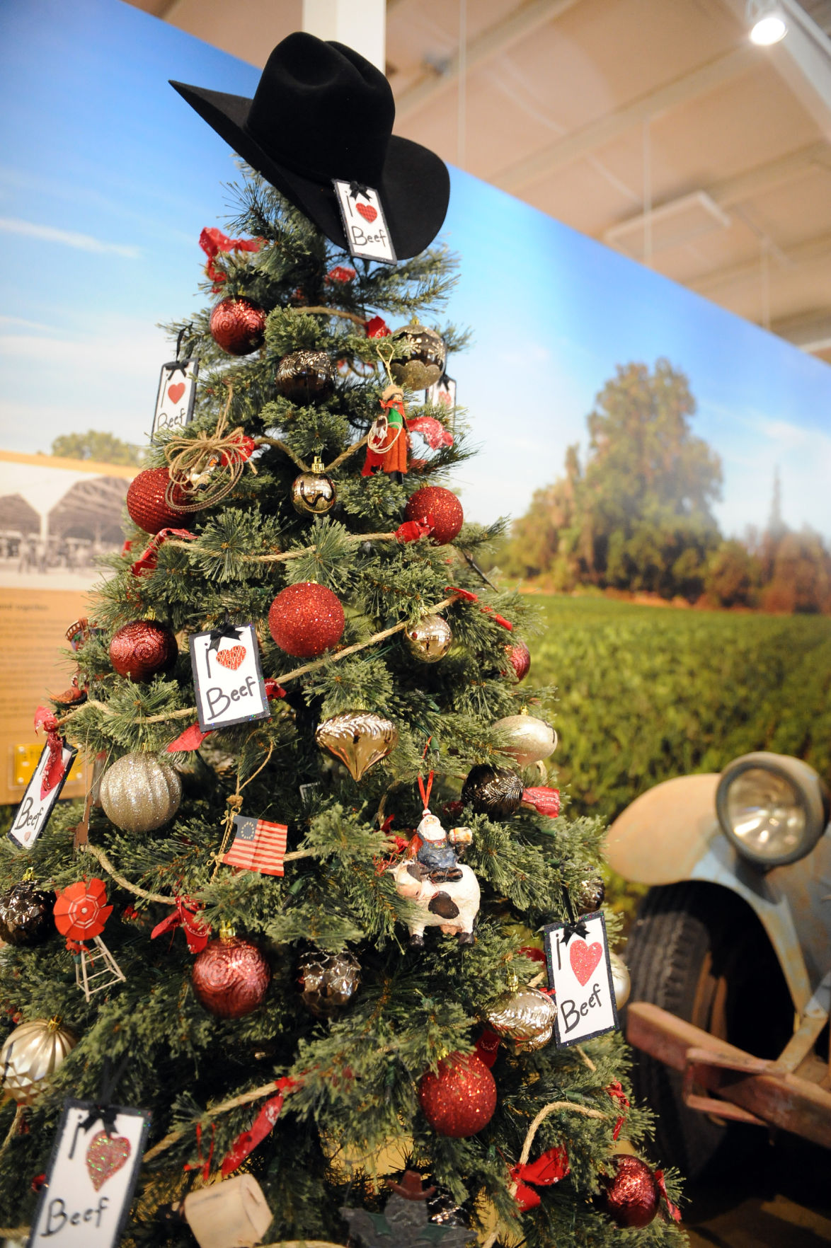 Festival of Trees brings Christmas cheer to Micke Grove Lodi Living