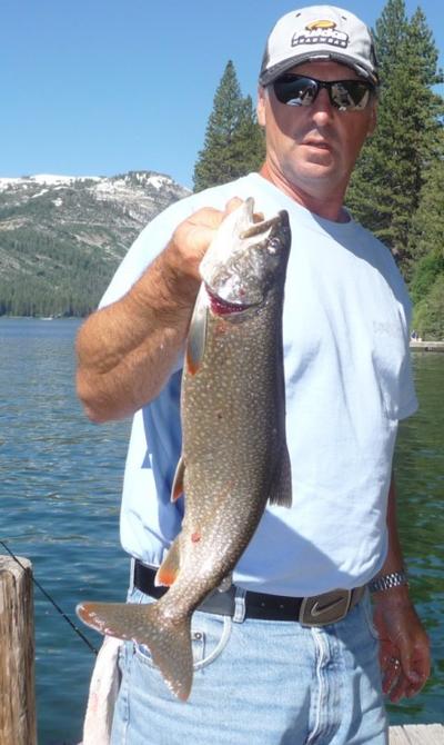 Catfish Being Caught In Abundance At New Melones Fishing With Mike Lodinews Com