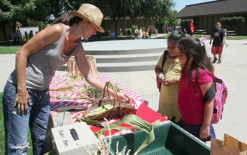 Vinewood Elementary School garden grows food, experiences News