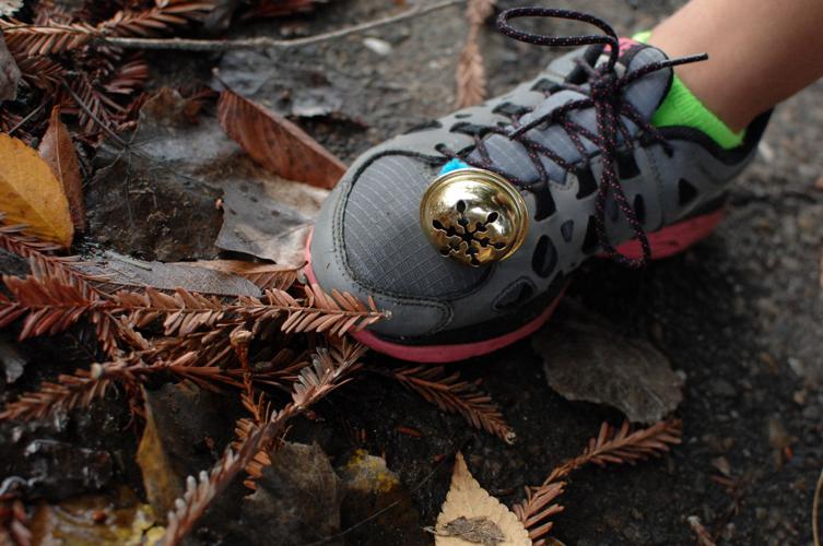 Lodi Christmas Tree Run News