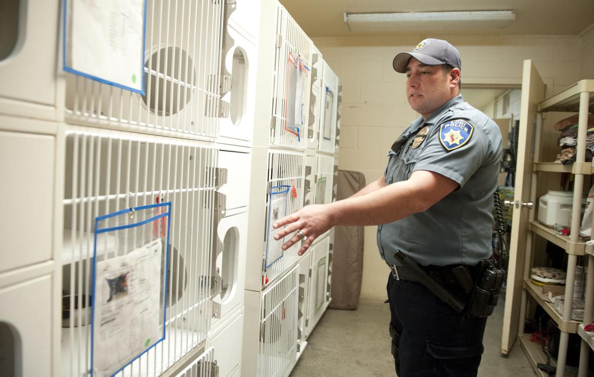 Lodi Animal Shelter full; adoptions lag News