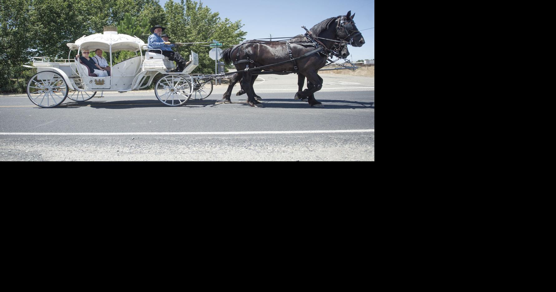 Love and marriage go together like a horse and carriage | News ...