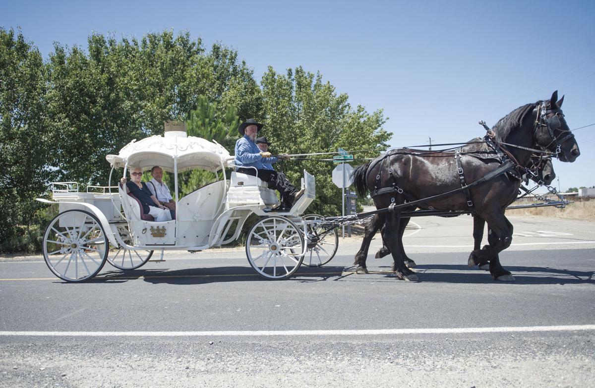 Love and marriage go together like a horse and carriage | News - Love And Marriage Go Together Like A Horse And Carriage