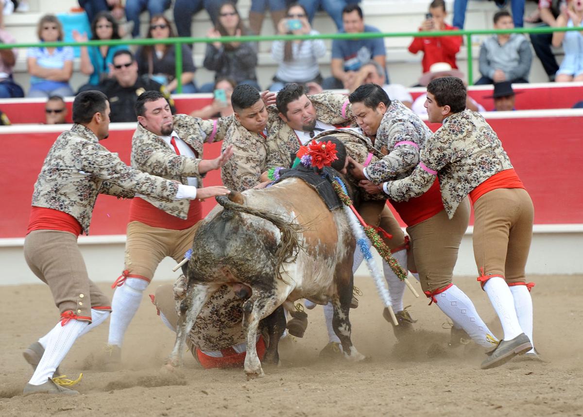 10_15_16_BULLFIGHT_20.JPG