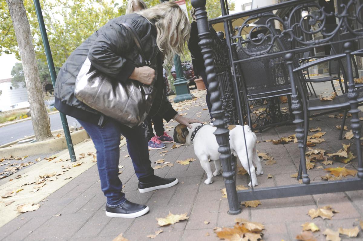 Lodi’s wet weather not expected to last for long News