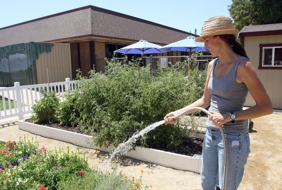 Vinewood Elementary School garden grows food, experiences Lodinews