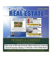 Real Estate