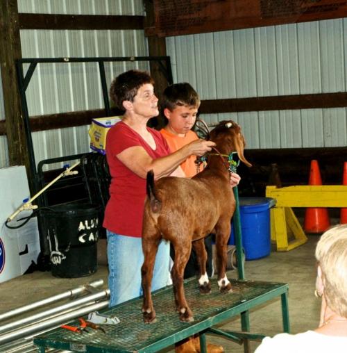 Goat clinic gives insight into proper animal handling News