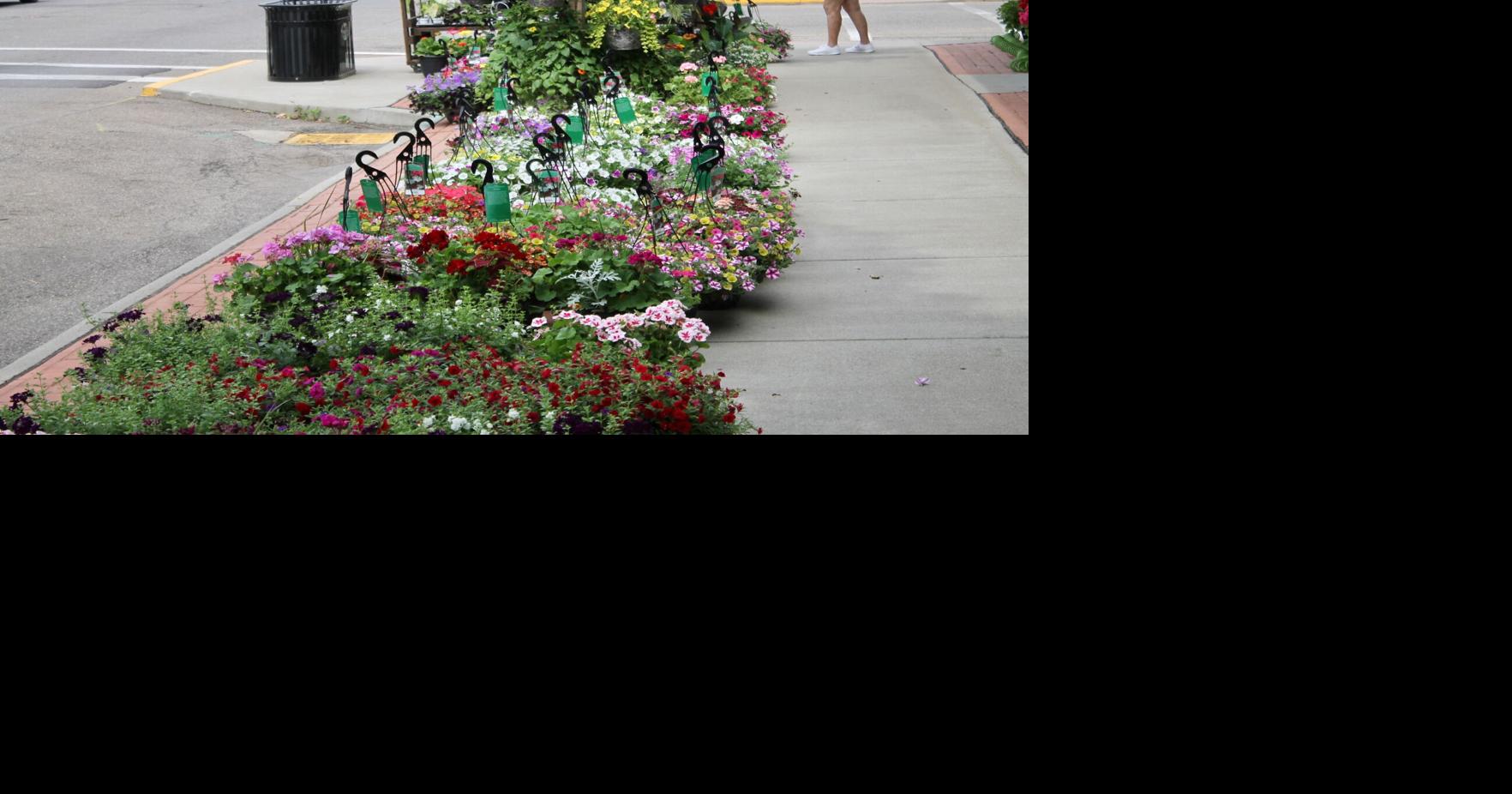 Logan receives national recognition from America in Bloom