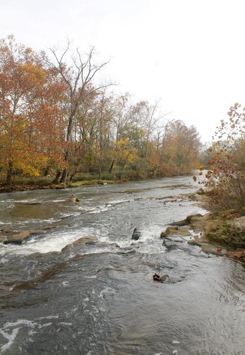 Fall around the river