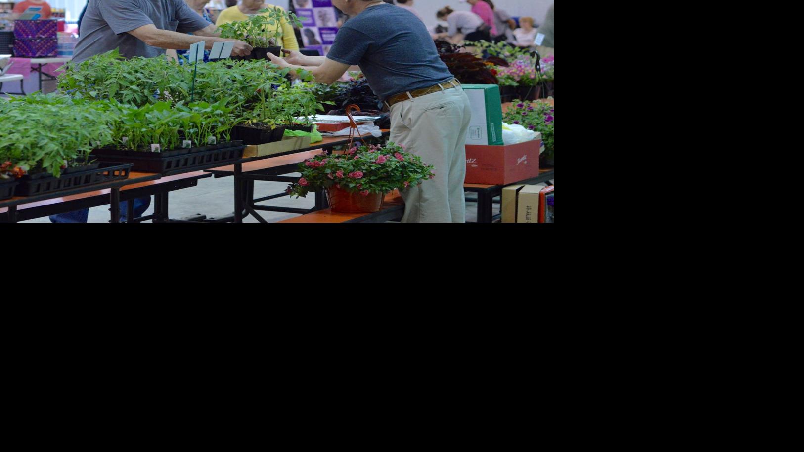 Right after a year off, Perry County Household & Backyard garden present sprouts again up | News