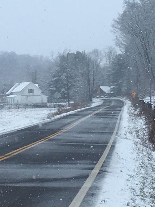 A gray snow day