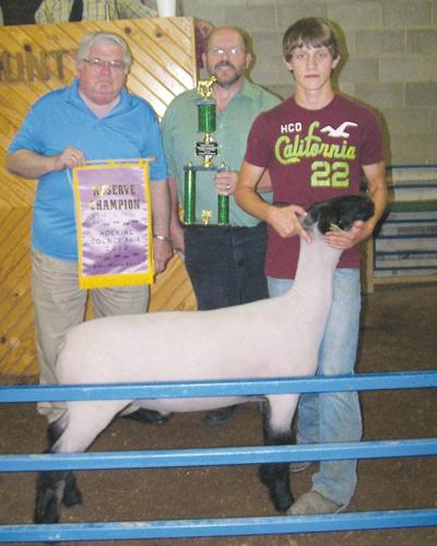 Hocking County Fair holds large animal sale News logandaily com