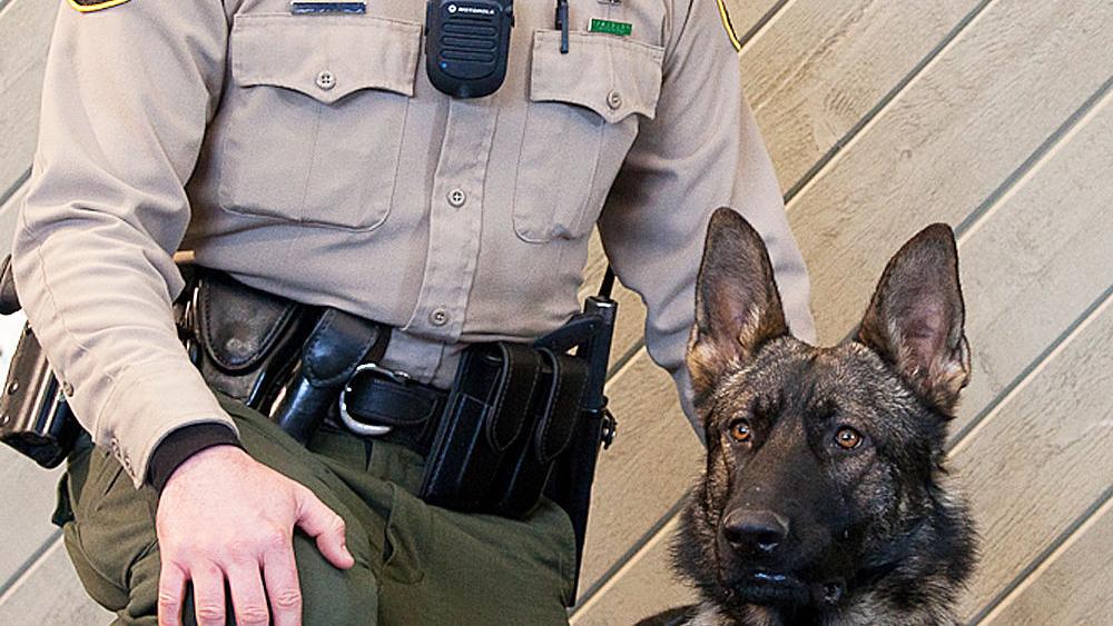 ODNR Division Of Wildlife Starts New K 9 Program News Logandaily Odnr division of wildlife starts new k 9 program news logandaily