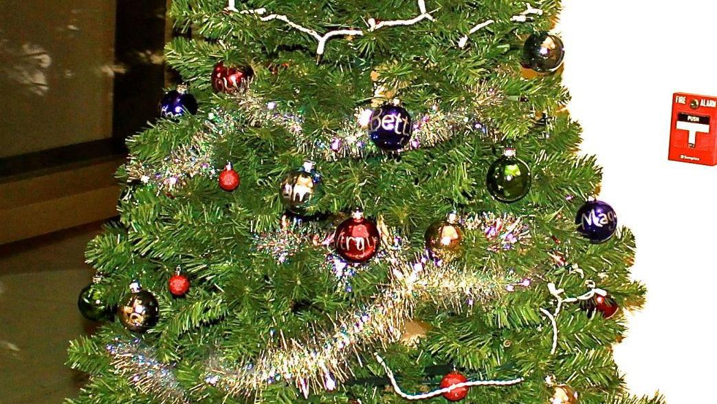 The origin of the Christmas tree | News | logandaily.com