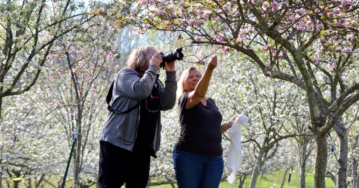 Promises Fall Spring’s promise of fall’s bounty | News | logandaily.com