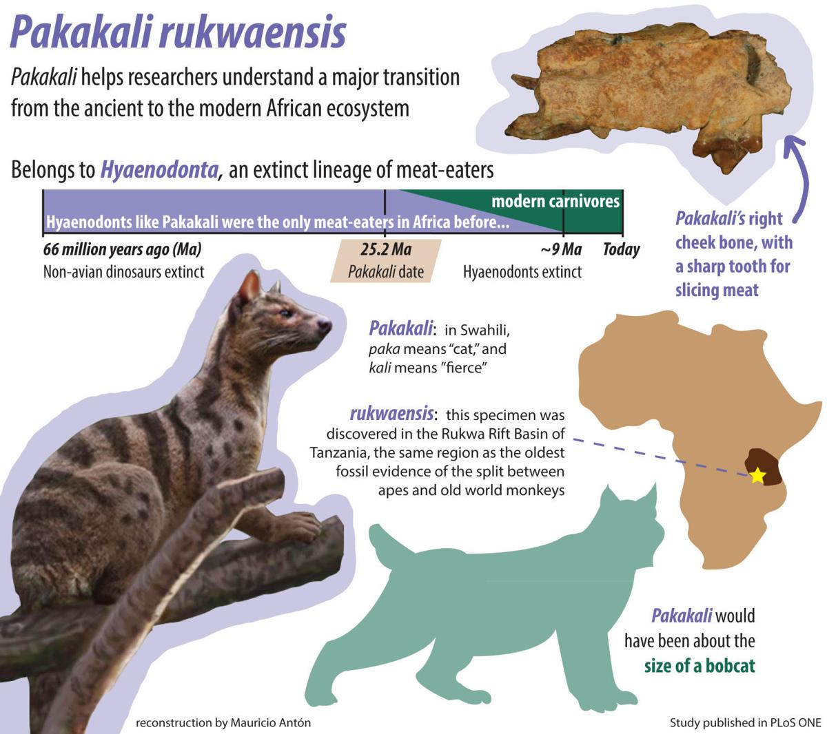 ou researchers fossil discovery